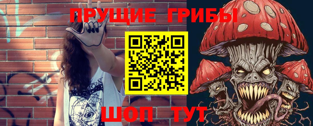 Славгород  Псилоцибиновые грибы Psilocybe  Псилоцибиновые грибы Psilocybe  Вход с VPN 