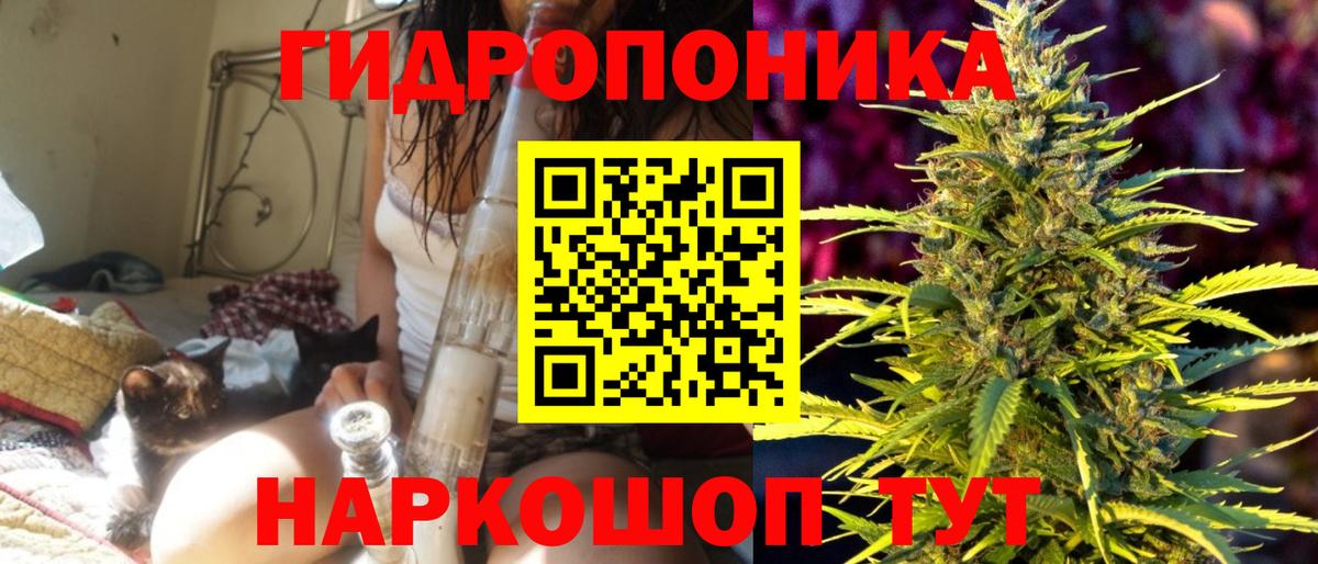 Марихуана индика  Бошки марихуана VHQ  Славгород  Конопля MAZAR  Вход с VPN 